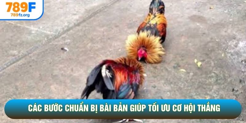 Các bước chuẩn bị bài bản giúp tối ưu cơ hội thắng Các bước chuẩn bị bài bản giúp tối ưu cơ hội thắng