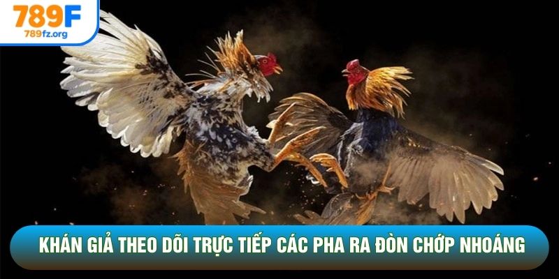 Khán giả theo dõi trực tiếp các pha ra đòn chớp nhoáng