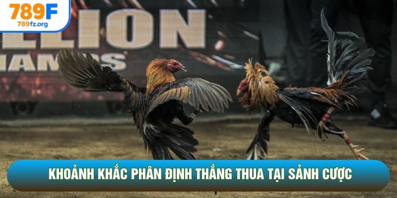Khoảnh khắc phân định thắng thua tại sảnh cược