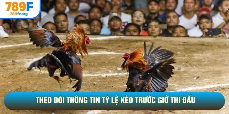 Theo dõi thông tin tỷ lệ kèo trước giờ thi đấu