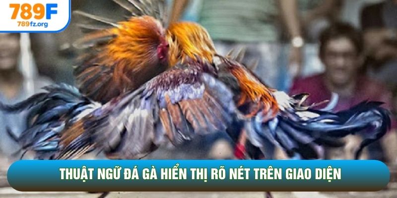 Thuật ngữ đá gà hiển thị rõ nét trên giao diện