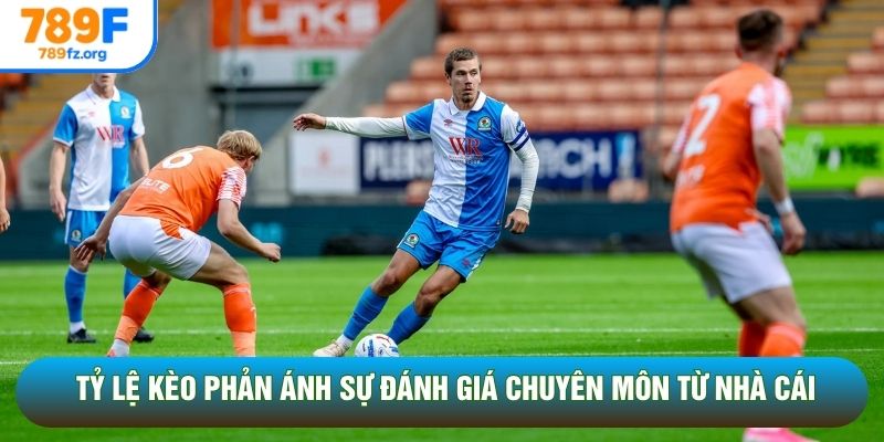Tỷ lệ kèo phản ánh sự đánh giá chuyên môn từ nhà cái
