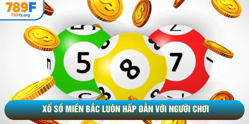 Xổ Số Miền Bắc luôn hấp dẫn với người chơi Xổ Số Miền Bắc luôn hấp dẫn với người chơi